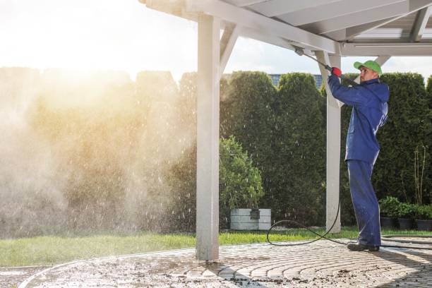 Best Soft Washing for Delicate Surfaces in Lake Royale, NC