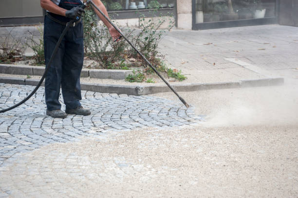 Best Parking Lot Cleaning in Lake Royale, NC